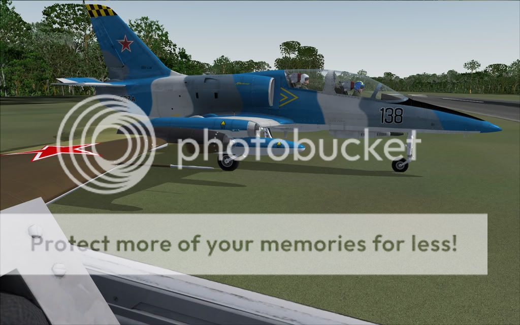 GroupFlight.jpg