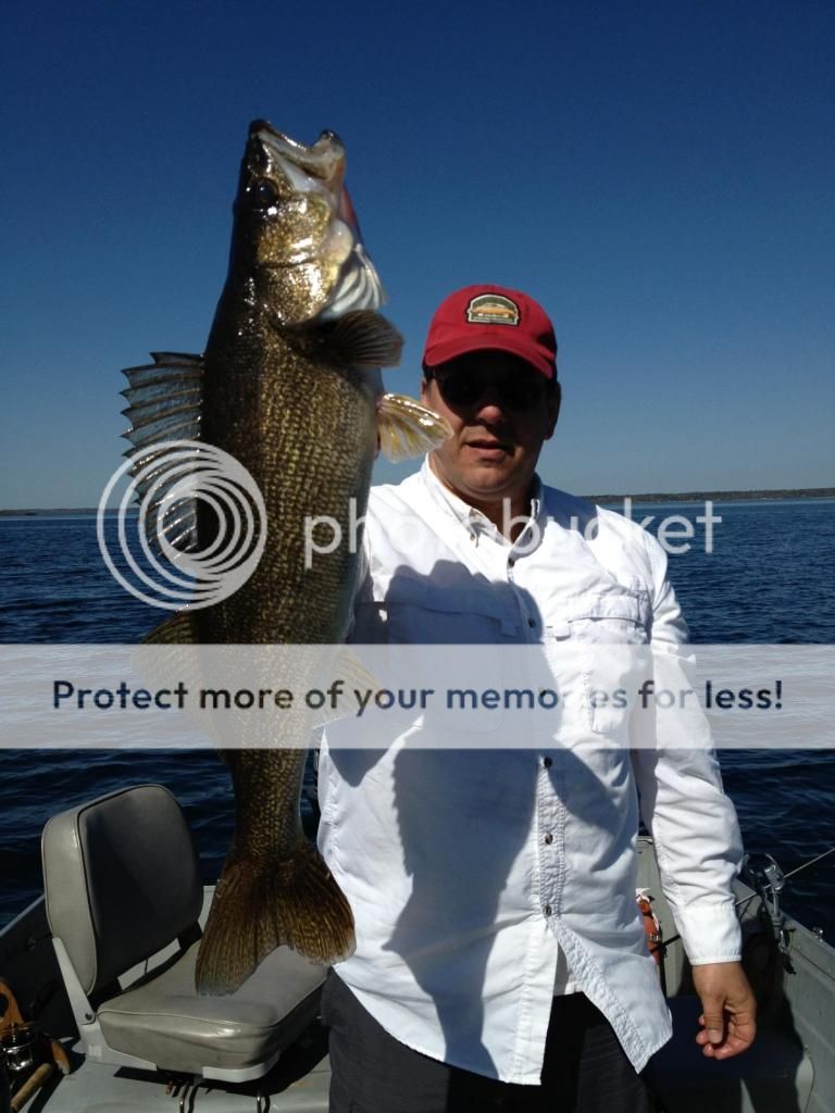 St Lawrence River Walleye season is..... Lake Champlain United Forums