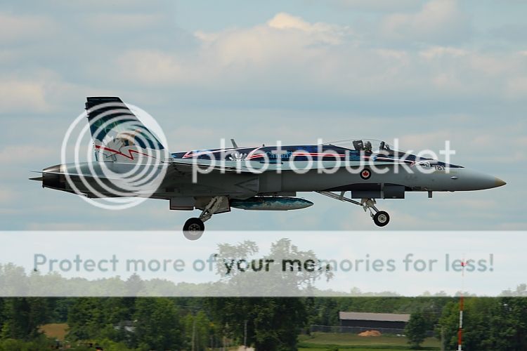 IMAGE: http://i460.photobucket.com/albums/qq326/WingsofFuryPhotography/2012%20Assorted/IMG_0289.jpg