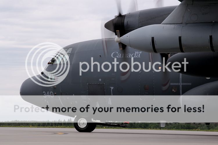 IMAGE: http://i460.photobucket.com/albums/qq326/WingsofFuryPhotography/2012%20Assorted/IMG_0534.jpg