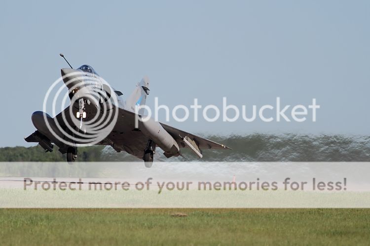 IMAGE: http://i460.photobucket.com/albums/qq326/WingsofFuryPhotography/2012%20Assorted/IMG_0614.jpg