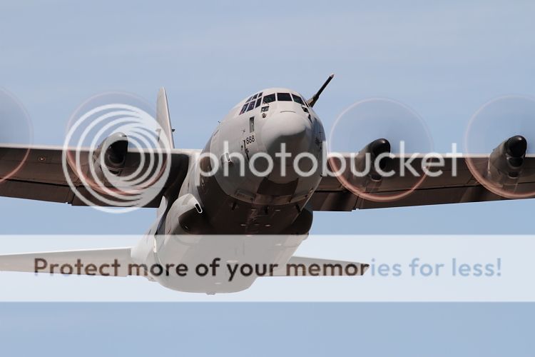 IMAGE: http://i460.photobucket.com/albums/qq326/WingsofFuryPhotography/2012%20Assorted/IMG_0917.jpg