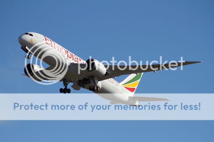 IMAGE: http://i460.photobucket.com/albums/qq326/WingsofFuryPhotography/2012%20Assorted/IMG_1111.jpg