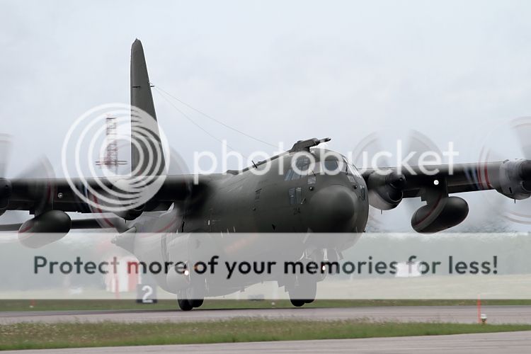 IMAGE: http://i460.photobucket.com/albums/qq326/WingsofFuryPhotography/2012%20Assorted/IMG_2568.jpg