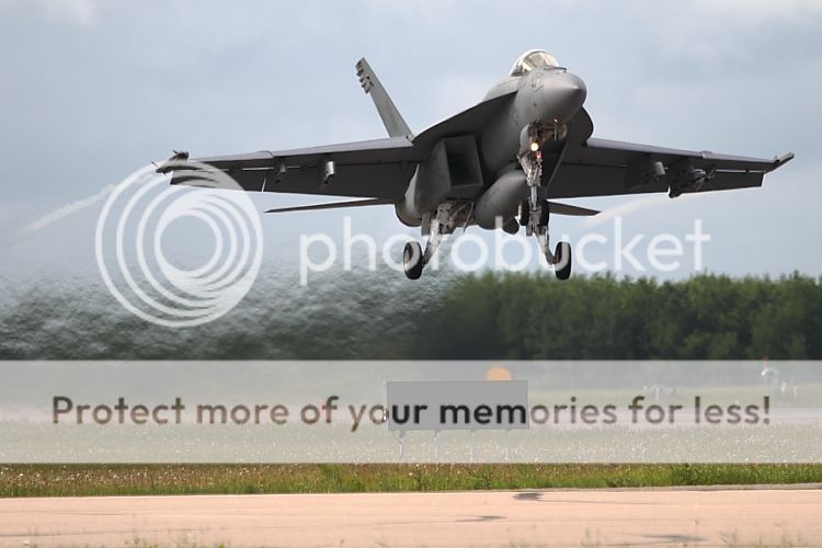 IMAGE: http://i460.photobucket.com/albums/qq326/WingsofFuryPhotography/2012%20Assorted/IMG_2699.jpg