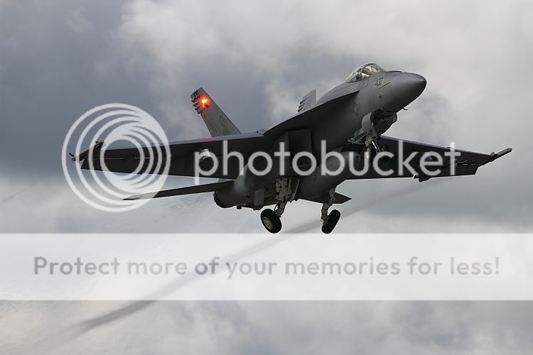 IMAGE: http://i460.photobucket.com/albums/qq326/WingsofFuryPhotography/2012%20Assorted/IMG_2700.jpg