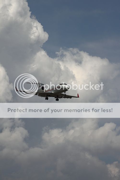 IMAGE: http://i460.photobucket.com/albums/qq326/WingsofFuryPhotography/2012%20Assorted/IMG_4415.jpg