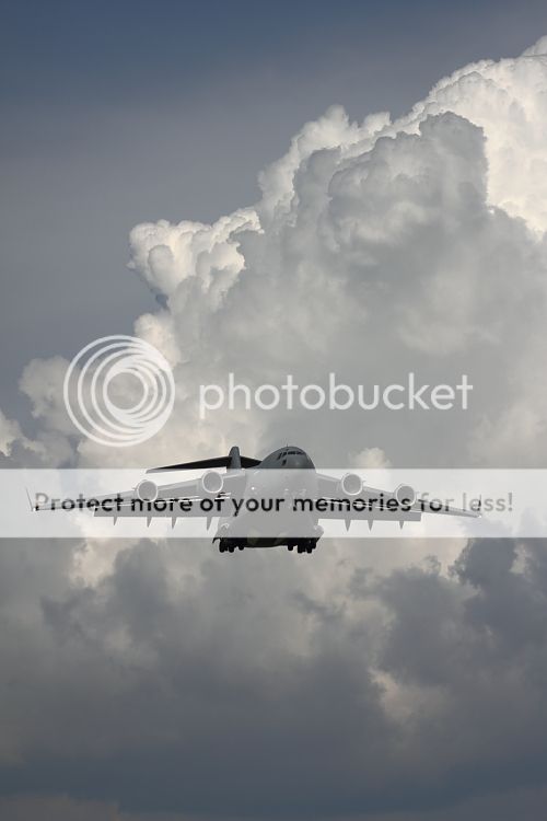 IMAGE: http://i460.photobucket.com/albums/qq326/WingsofFuryPhotography/2012%20Assorted/IMG_4420.jpg