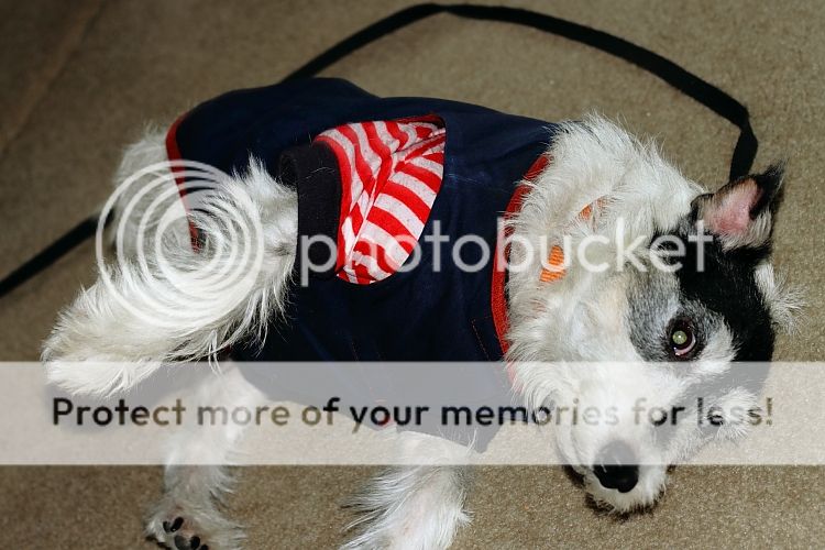 IMAGE: http://i460.photobucket.com/albums/qq326/WingsofFuryPhotography/2012%20Assorted/IMG_4496.jpg