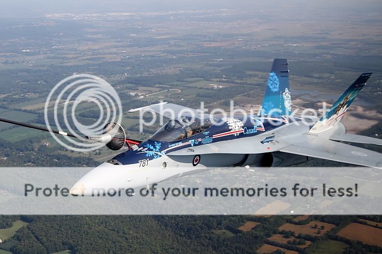 IMAGE: http://i460.photobucket.com/albums/qq326/WingsofFuryPhotography/2012%20Assorted/IMG_5232.jpg