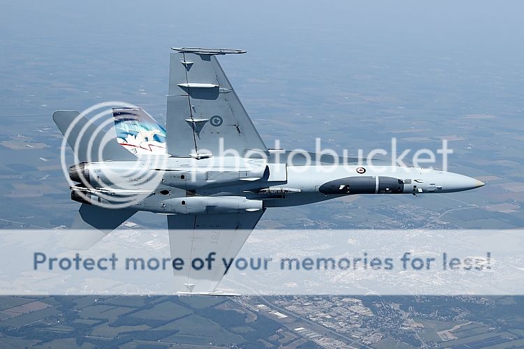 IMAGE: http://i460.photobucket.com/albums/qq326/WingsofFuryPhotography/2012%20Assorted/IMG_5439.jpg