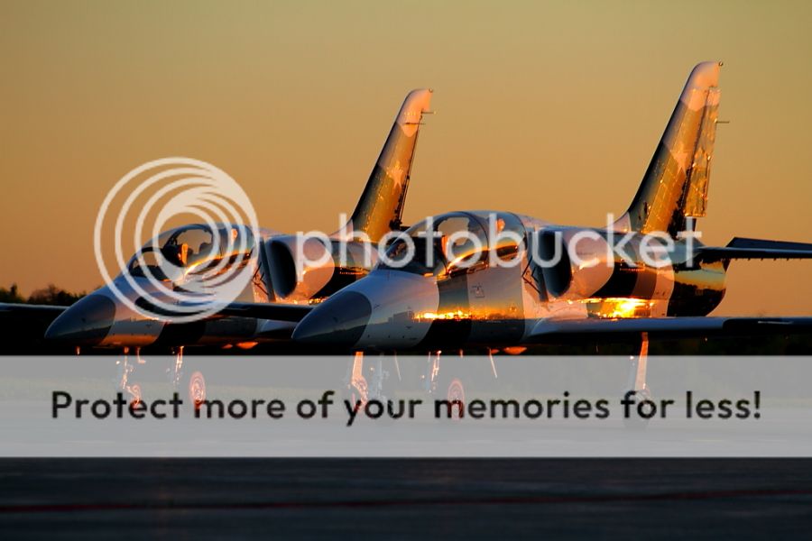 IMAGE: http://i460.photobucket.com/albums/qq326/WingsofFuryPhotography/2012%20Assorted/IMG_5599.jpg