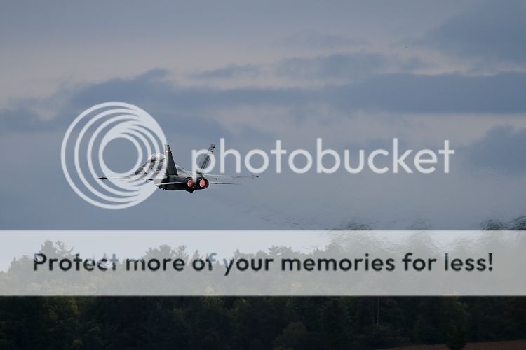 IMAGE: http://i460.photobucket.com/albums/qq326/WingsofFuryPhotography/2012%20Assorted/IMG_6341-1.jpg