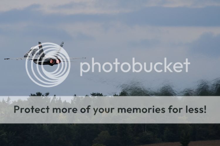 IMAGE: http://i460.photobucket.com/albums/qq326/WingsofFuryPhotography/2012%20Assorted/IMG_6341.jpg