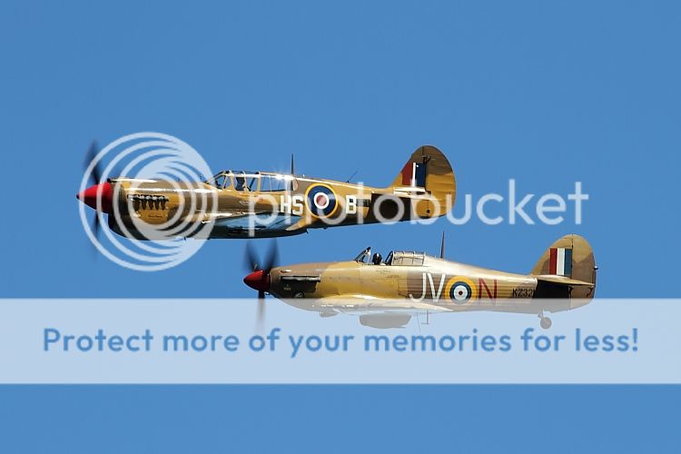 IMAGE: http://i460.photobucket.com/albums/qq326/WingsofFuryPhotography/2012%20Assorted/IMG_7246.jpg