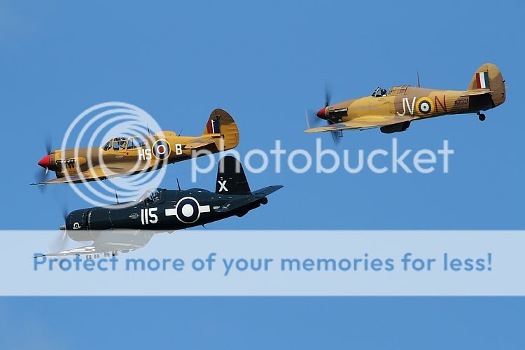 IMAGE: http://i460.photobucket.com/albums/qq326/WingsofFuryPhotography/2012%20Assorted/IMG_7258.jpg