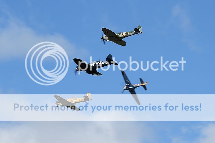 IMAGE: http://i460.photobucket.com/albums/qq326/WingsofFuryPhotography/2012%20Assorted/IMG_7273.jpg