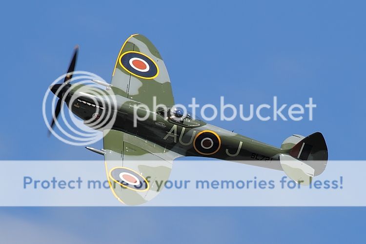 IMAGE: http://i460.photobucket.com/albums/qq326/WingsofFuryPhotography/2012%20Assorted/IMG_7297.jpg