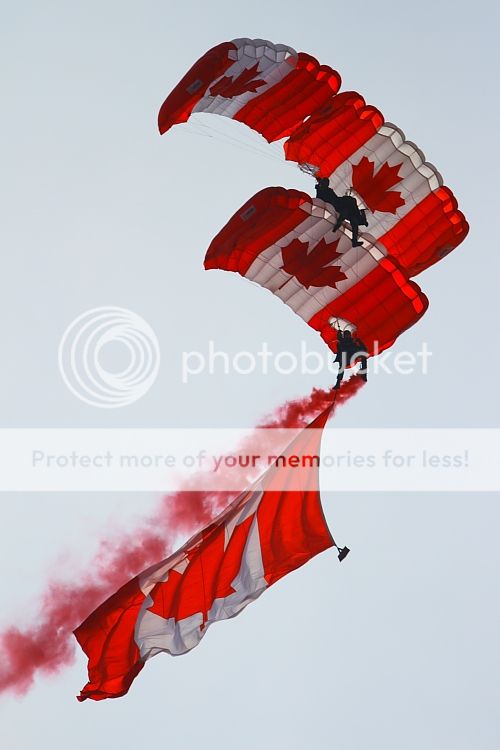 IMAGE: http://i460.photobucket.com/albums/qq326/WingsofFuryPhotography/2012%20Assorted/IMG_9834.jpg