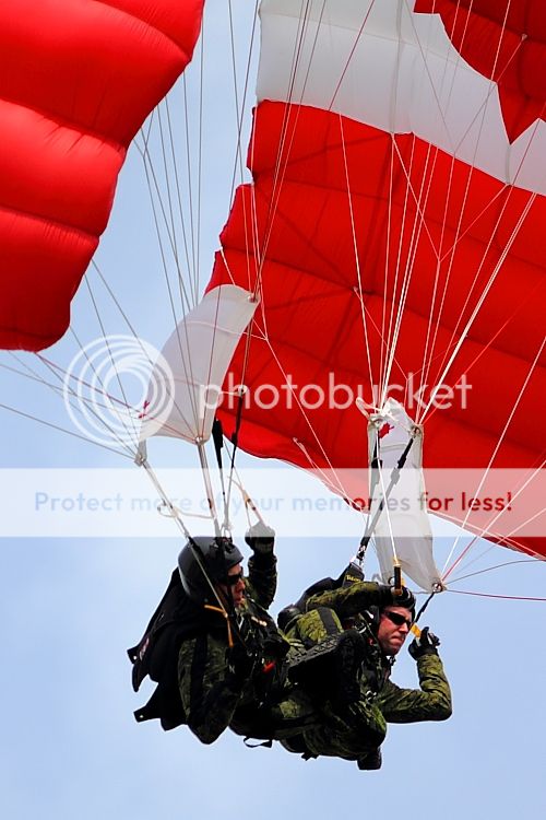 IMAGE: http://i460.photobucket.com/albums/qq326/WingsofFuryPhotography/2012%20Assorted/IMG_9934.jpg