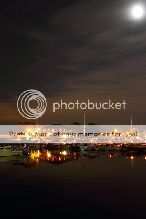 IMAGE: http://i460.photobucket.com/albums/qq326/WingsofFuryPhotography/2012%20Assorted/IMG_9936.jpg