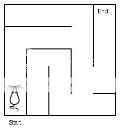 http://i460.photobucket.com/albums/qq328/JDcraks/ClassicMaze.jpg