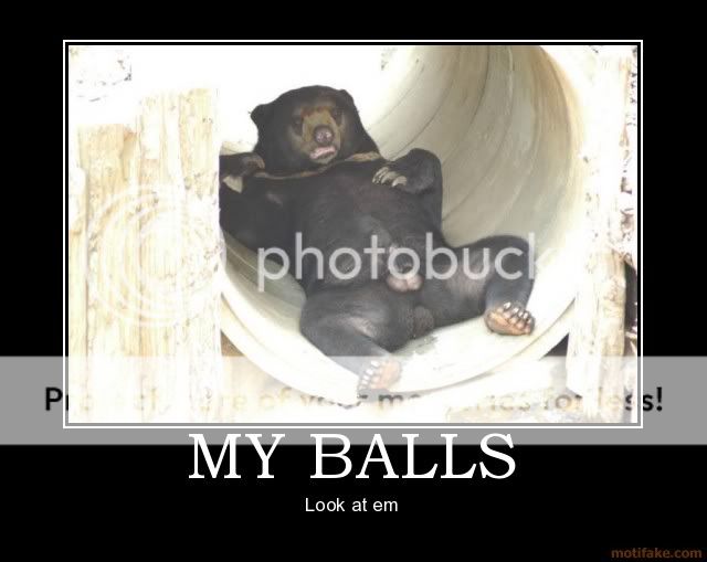 my-balls-demotivational-poster-1244.jpg