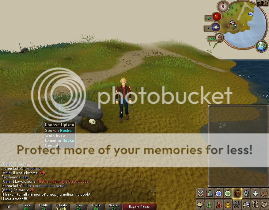 User Image
